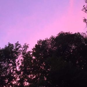 Meet your Posher, Brionna